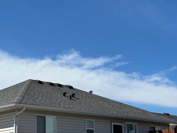 Best Metal Roofing Installation  in Southern View, IL